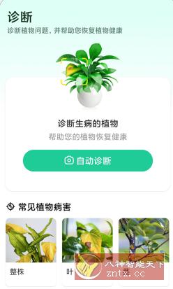 Plant Parent 植物养护v1.9.5高级版-如意资源网