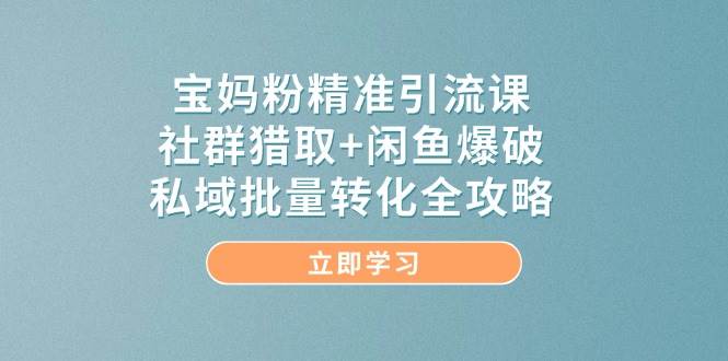 宝妈粉精准引流课，社群猎取+闲鱼爆破，私域批量转化全攻略-如意资源网
