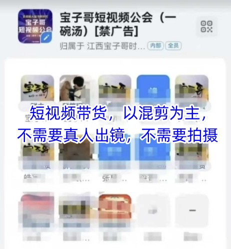 宝子哥头部团队短视频带货，以混剪为主，不需要真人出镜，不需要拍摄【更新】-如意资源网