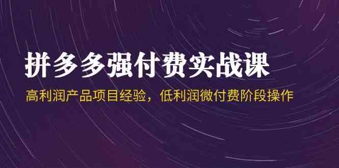 拼多多强付费实战课-44期，高利润产品项目经验，低利润微付费阶段操作-如意资源网
