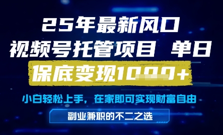 25年最新风口，视频号托管项目，单日保底变现1k+，手把手教学【揭秘】-如意资源网