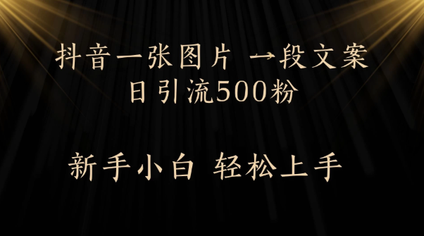 每天2分钟，抖音一张图片 一段文案日引流500粉-如意资源网