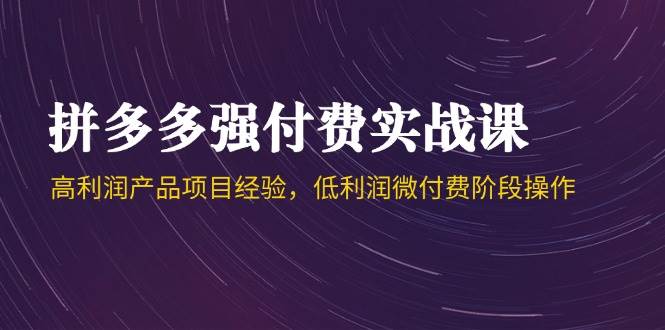（14874期）拼多多强付费实战课-44期，高利润产品项目经验，低利润微付费阶段操作-如意资源网
