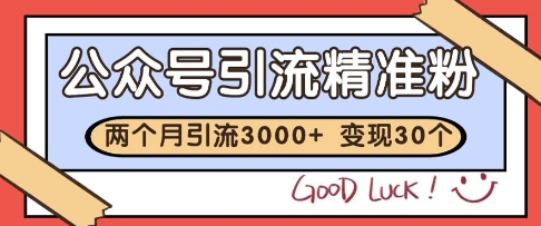公众号精准粉引流玩法，2个月3000+精准粉，变现30个W【揭秘】-如意资源网